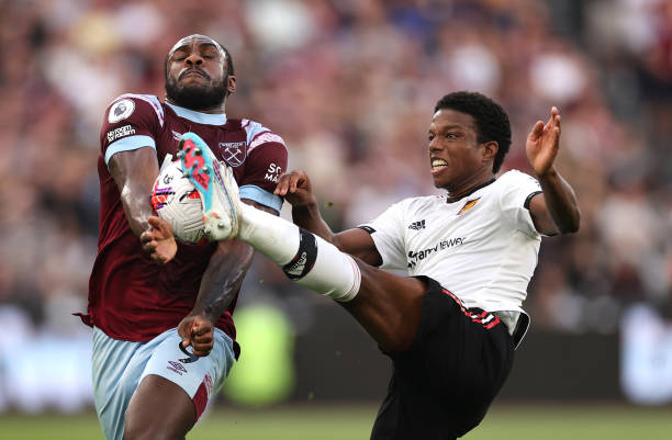 系中极为珍 系中极为珍