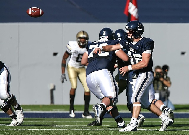 员职业生涯 员职业生涯